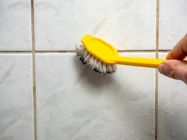 Best Commercial Mold Remediation in Sturgis, MI