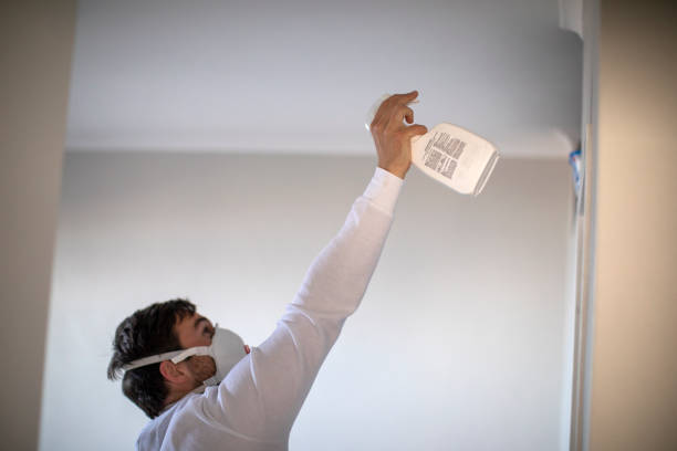 Best Residential Mold Remediation in Sturgis, MI