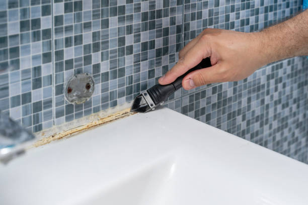 Best Post-Flood Mold Remediation in Sturgis, MI